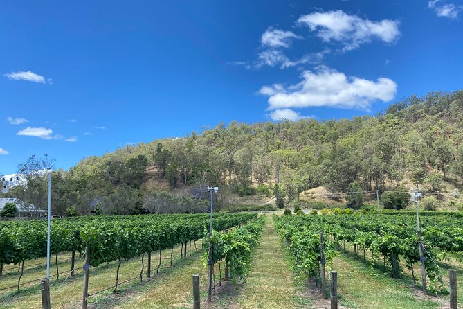 Hinterland Heritage Wine Tour - Is $143.45 good value?