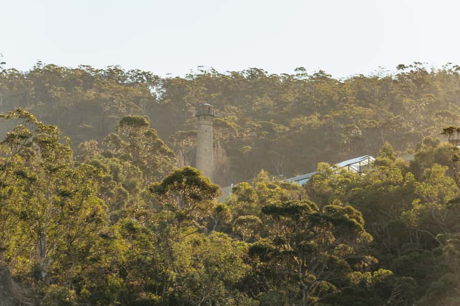 Hobart: 2.5-hour Iron Pot Lighthouse Cruise - What the Boat and Guides Add