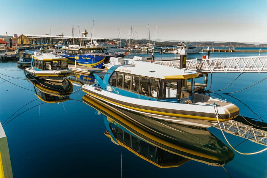 Hobart: 2.5-hour Iron Pot Lighthouse Cruise - Seeing Hobart From the Derwent River