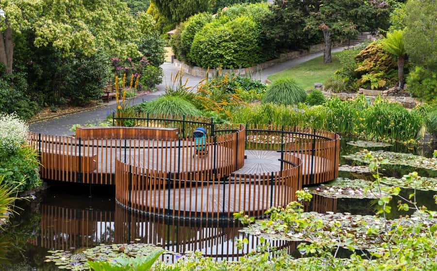 Hobart: 3-Hour City Sightseeing Tour - Royal Tasmanian Botanical Gardens