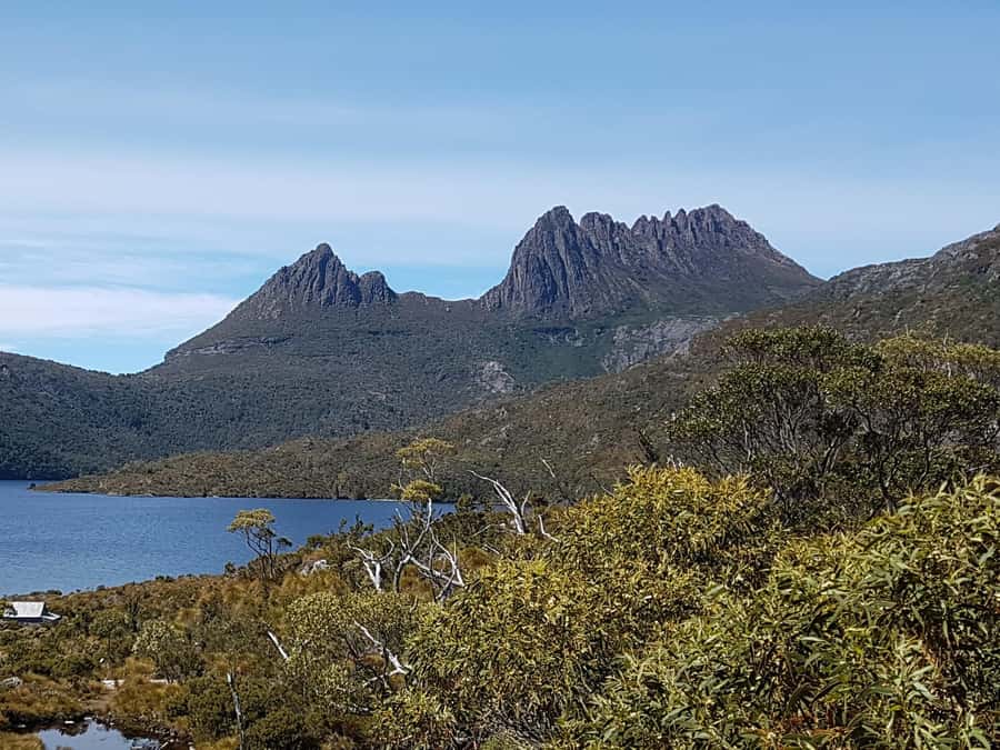 Hobart: 4 Day Wild Tasmania Tour - Key points at a glance