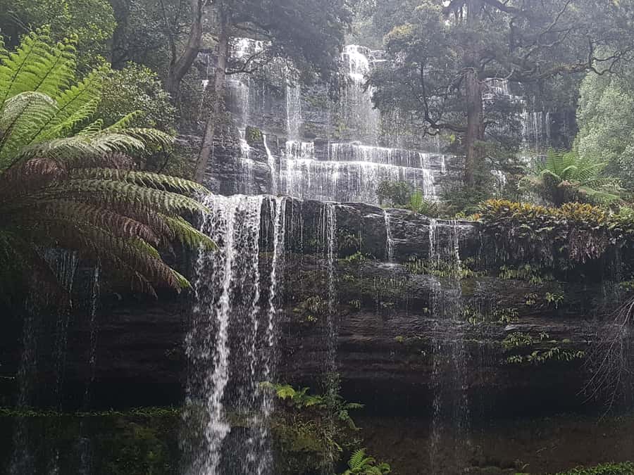 Hobart: 4 Day Wild Tasmania Tour - Cradle Mountain offers the trip’s biggest walk