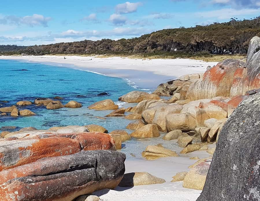 Hobart: 4 Day Wild Tasmania Tour - A wilderness night adds the real character