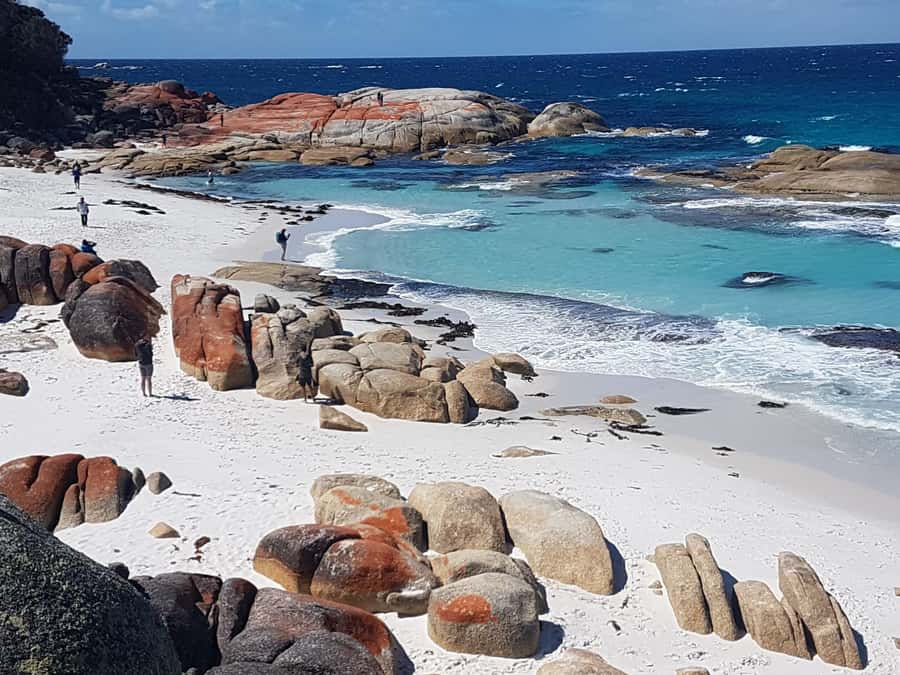 Hobart: 4 Day Wild Tasmania Tour - Russell Falls brings an easy start