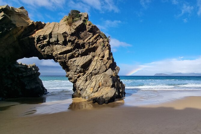 Hobart: Bruny Island Adventure: Hiking, Highlights & Local tastes - Why this Bruny Island day feels different