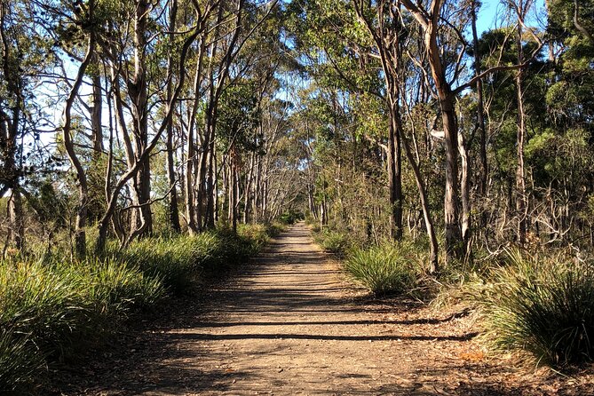 Hobart: Bruny Island Adventure: Hiking, Highlights & Local tastes - Adventure Bay, Two Tree Point, and island stories