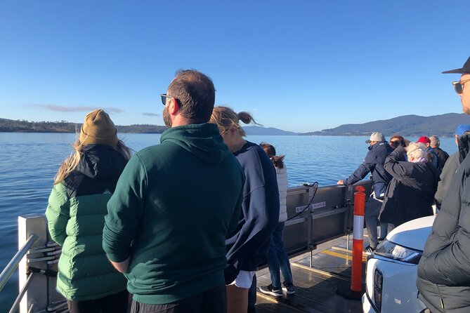 Hobart: Bruny Island Adventure: Hiking, Highlights & Local tastes - Chocolate, honey, cheese, and oysters