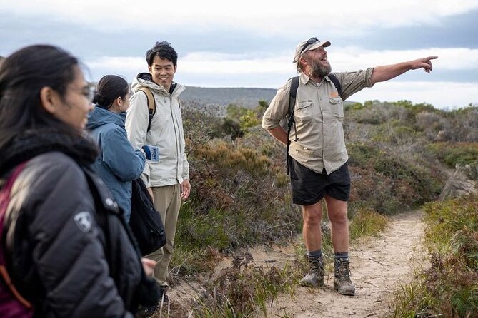 Hobart: Bruny Island Adventure: Hiking, Highlights & Local tastes - Is the $118.35 price good value?
