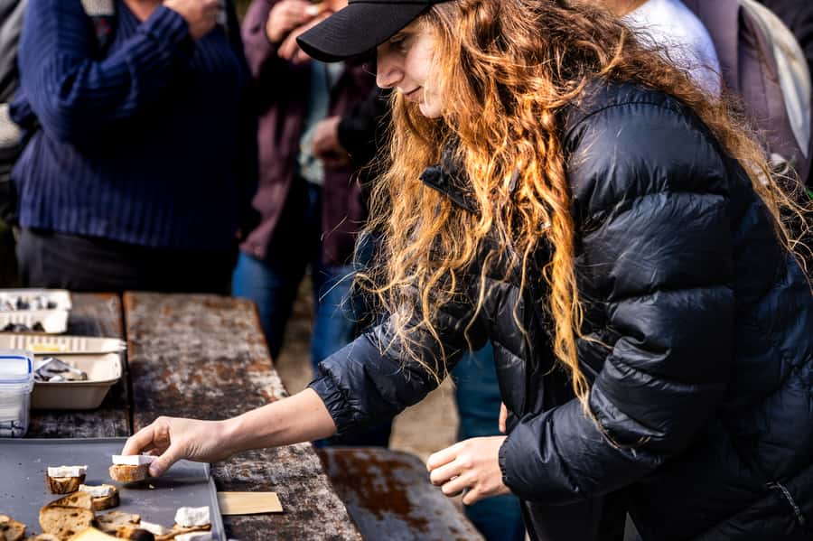 Hobart: Bruny Island Food, Sightseeing & Lighthouse Day Tour - Honey, chocolate, fudge, and local shopping