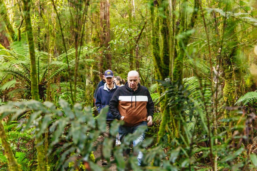 Hobart: Bruny Island Gourmet Sightseeing Day Tour - Why Bruny Island works so well as a day trip