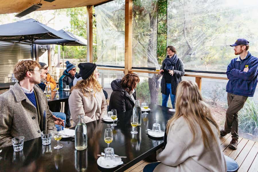 Hobart: Bruny Island Gourmet Sightseeing Day Tour - Cheese, ale, and the island’s food culture