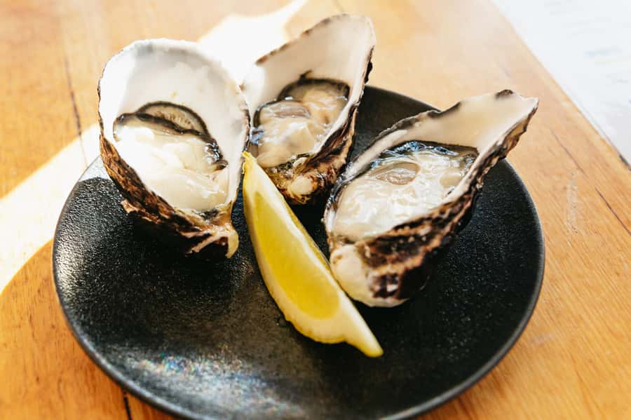 Hobart: Bruny Island Gourmet Sightseeing Day Tour - Beaches, bays, and time to stretch your legs