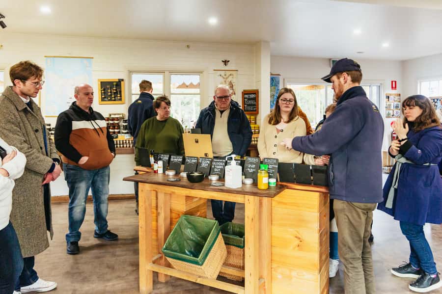 Hobart: Bruny Island Gourmet Sightseeing Day Tour - Honey, mead, fudge, and ice cream
