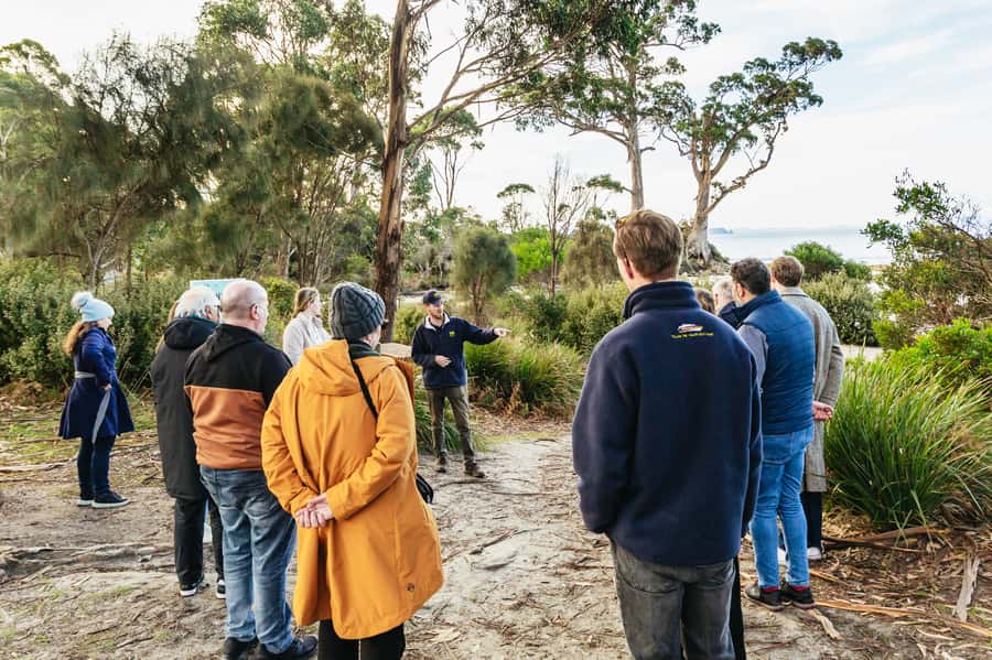 Hobart: Bruny Island Gourmet Sightseeing Day Tour - Ferry crossing from Kettering