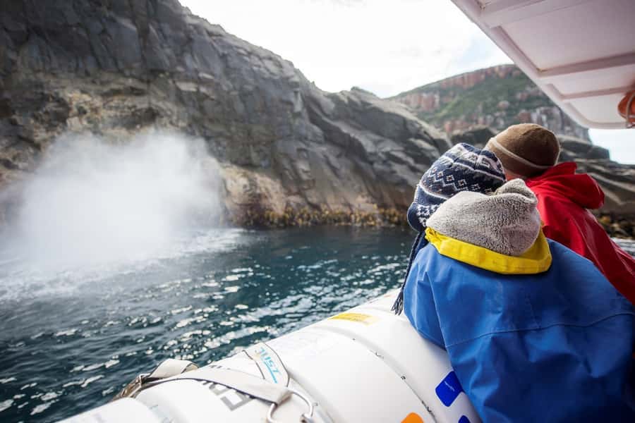 Hobart: Bruny Island Wilderness Coast Eco Cruise with Lunch - Key points to know before you book