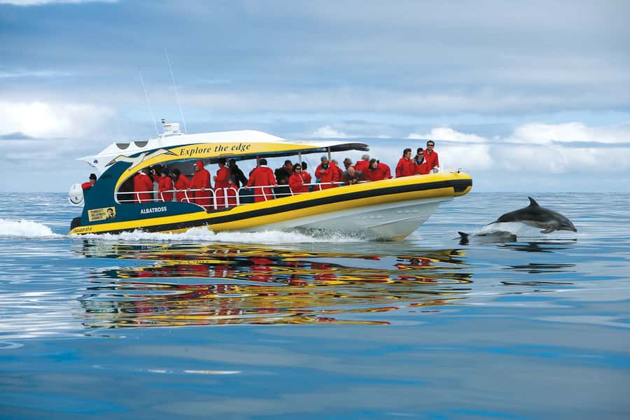 Hobart: Bruny Island Wilderness Coast Eco Cruise with Lunch - Why the boat ride is the main event
