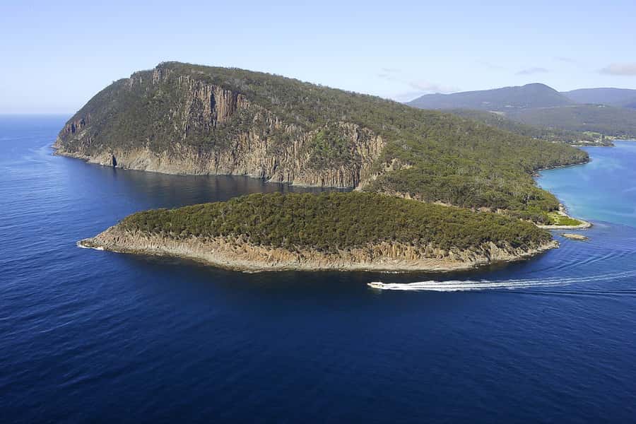 Hobart: Bruny Island Wilderness Coast Eco Cruise with Lunch - Conditions, comfort, and the honest drawbacks