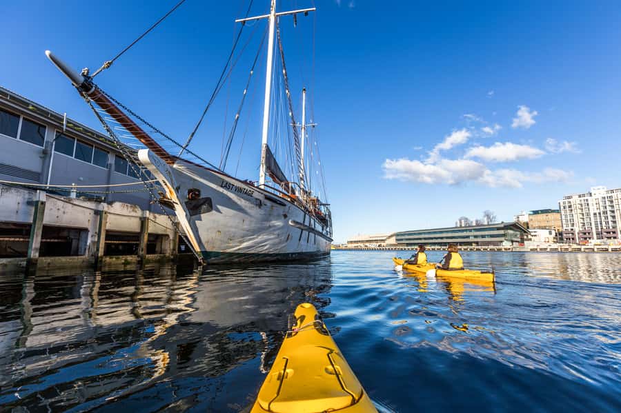 Hobart City 2.5-Hour Kayak Tour - Hobart’s docks at water level