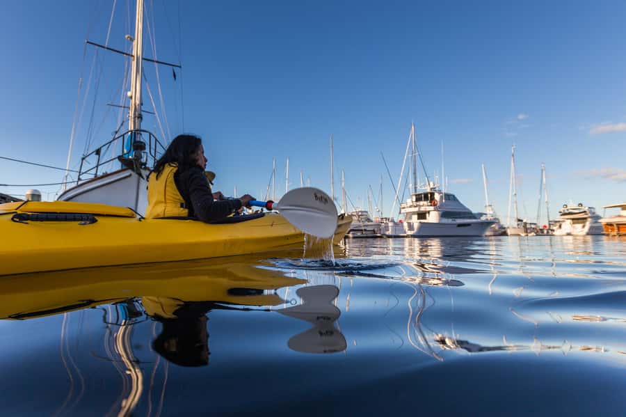 Hobart City 2.5-Hour Kayak Tour - Fish and chips from your kayak