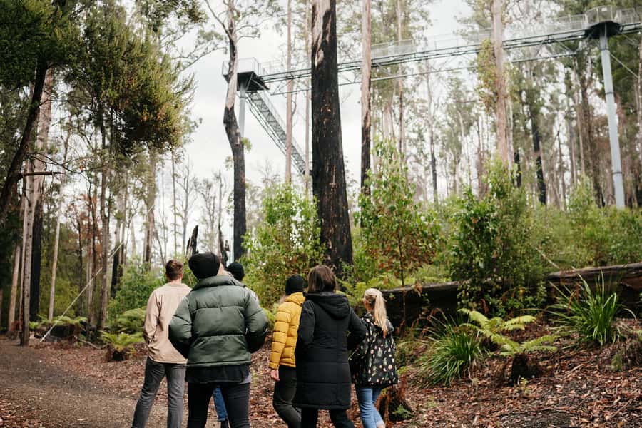 Hobart: Hastings Cave, Tahune Airwalk and Huon Tasting Trail - Key points at a glance