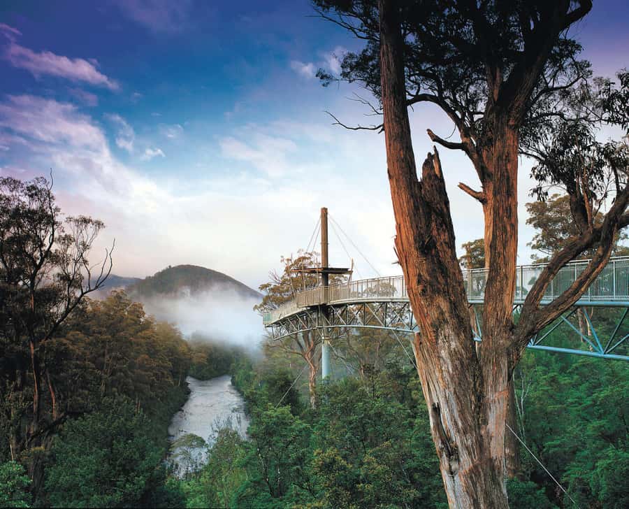 Hobart: Hastings Cave, Tahune Airwalk and Huon Tasting Trail - Following the Huon River from Hobart
