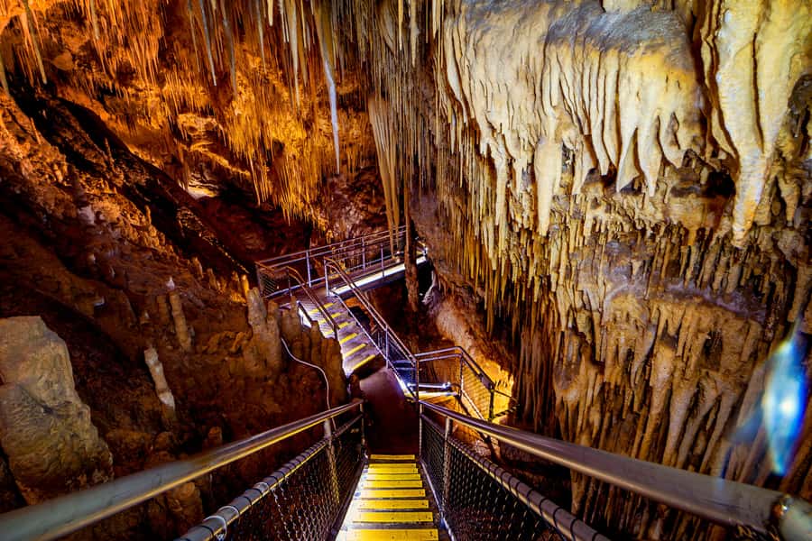 Hobart: Hastings Cave, Tahune Airwalk and Huon Tasting Trail - Choosing the right Tahune walk