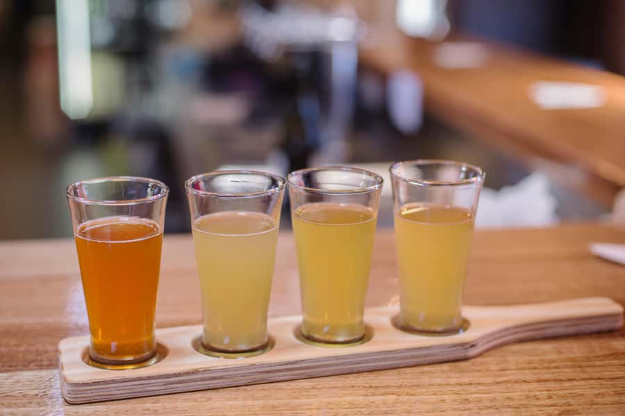 Hobart: Hastings Cave, Tahune Airwalk and Huon Tasting Trail - Is $141 good value?