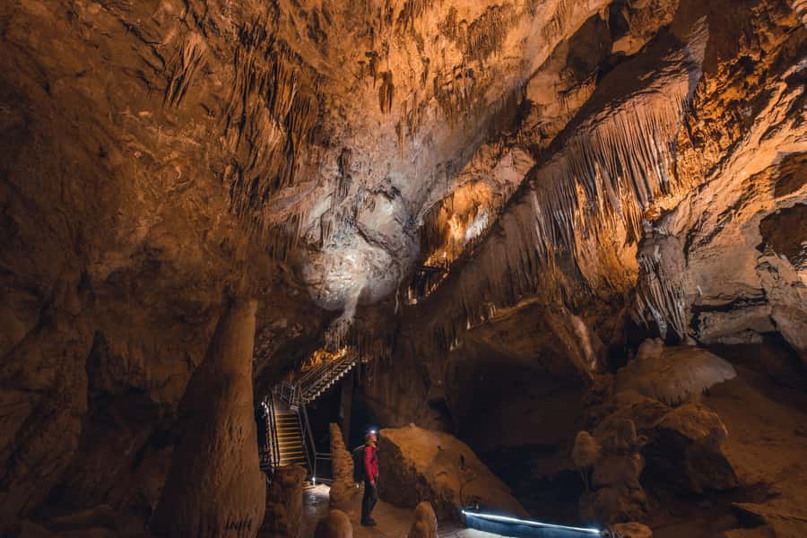 Hobart: Hastings Cave, Tahune Airwalk and Huon Tasting Trail - Practical advice for a smoother day