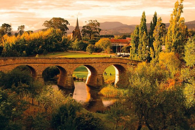 Hobart Highlights Day Tour - A taste of Tasmania at Wicked Cheese