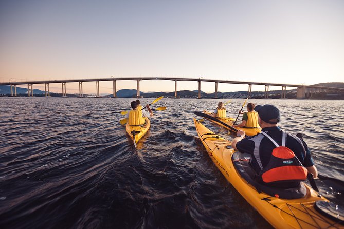 Hobart Kayak Tour - Hobart looks different from a kayak
