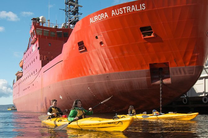 Hobart Kayak Tour - Who will enjoy this most?