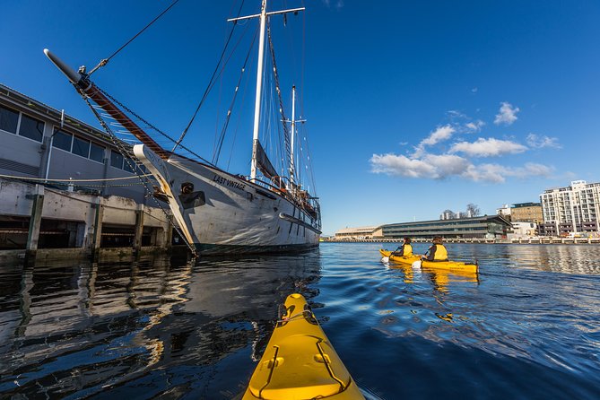 Hobart Kayak Tour - Practical details at Sandy Bay