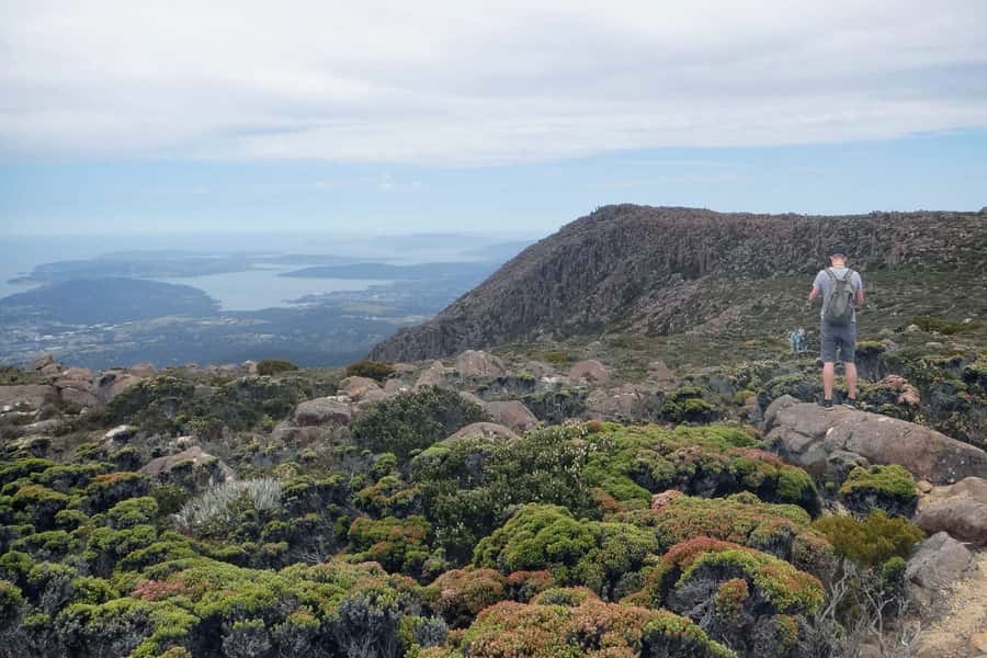 Hobart: kunanyi/Mt Wellington Explorer Bus Pass - From Hobart waterfront to a 1,270-metre summit