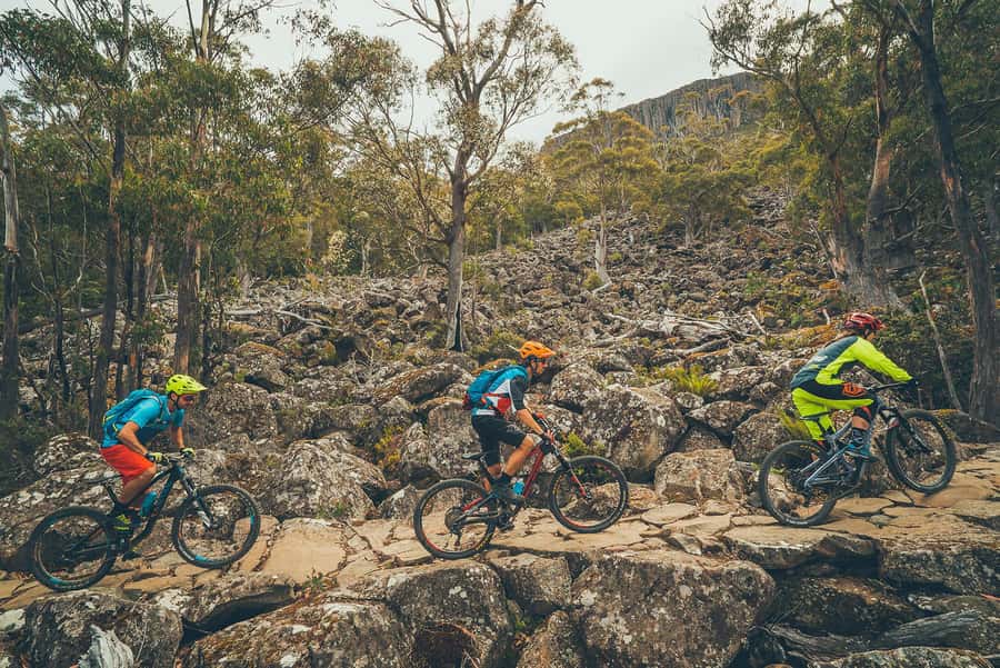Hobart: kunanyi/Mt Wellington Explorer Bus Pass - Commentary that adds something to the ride