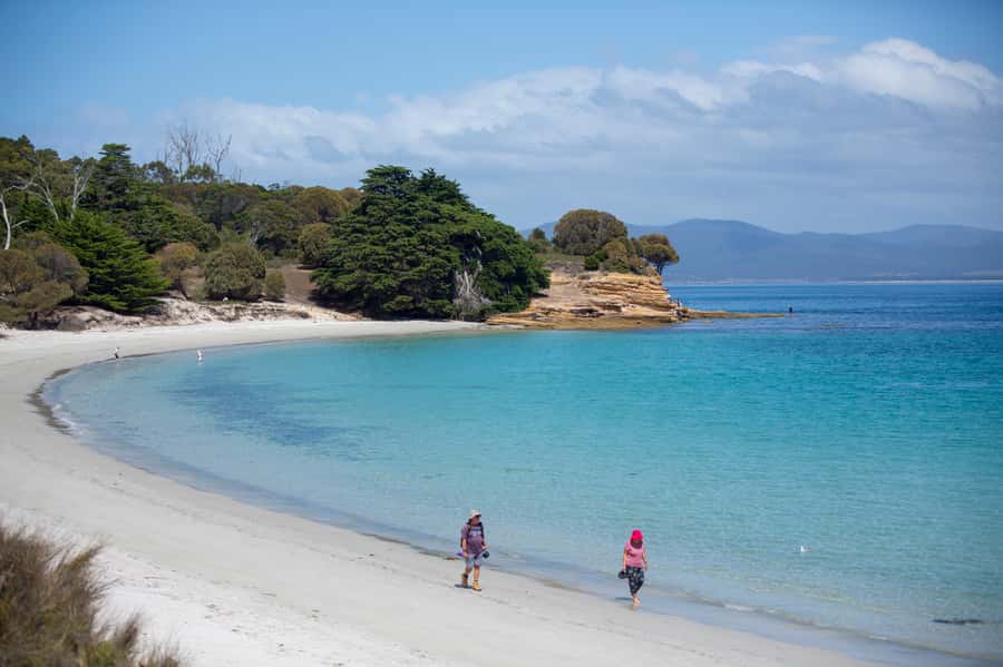 Hobart: Maria Island National Park Active Full-Day Tour - Key reasons to choose this Maria Island day trip