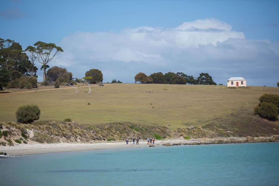 Hobart: Maria Island National Park Active Full-Day Tour - Darlington brings the past into focus