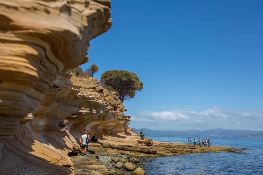 Hobart: Maria Island National Park Active Full-Day Tour - The early Hobart departure matters