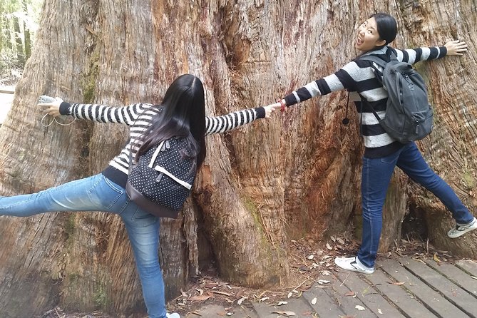 Hobart: Mt. Field, Mt Wellington & Wildlife - Active Day Tour - Why this Hobart day tour works so well