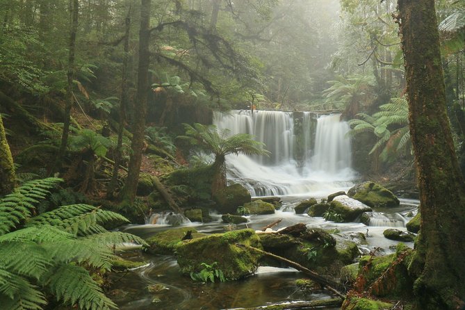 Hobart: Mt. Field, Mt Wellington & Wildlife - Active Day Tour - Lunch is simple and self-funded