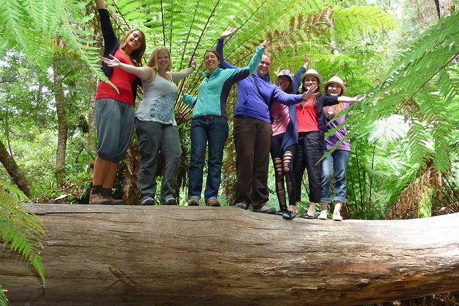 Hobart: Mt. Field, Mt Wellington & Wildlife - Active Day Tour - Walking beneath Mt Field’s giant trees