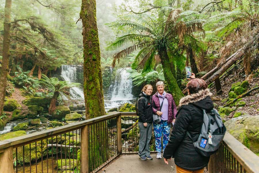 Hobart: Mt Wellington, Mt Field, Bonorong and Richmond Trip - Who should book this experience