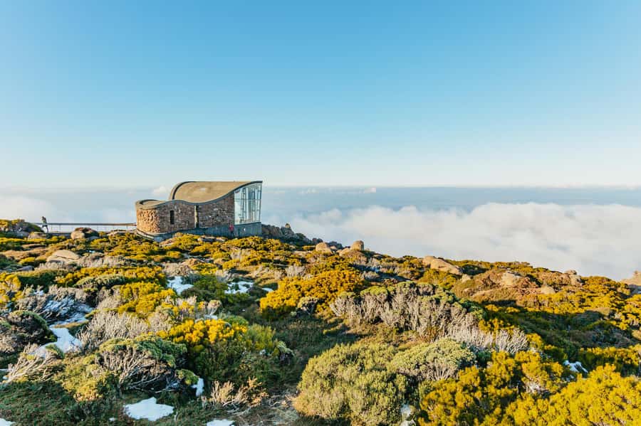 Hobart: Mt Wellington, Mt Field, Bonorong and Richmond Trip - Why this Hobart day trip works