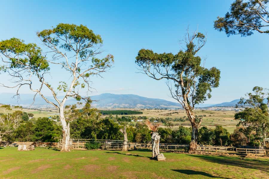 Hobart: Mt Wellington, Mt Field, Bonorong and Richmond Trip - New Norfolk and a useful pause
