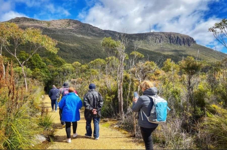 Hobart: Mt Wellington, Richmond, & Bonorong Wildlife Tour - Richmond and its early 1820s streets
