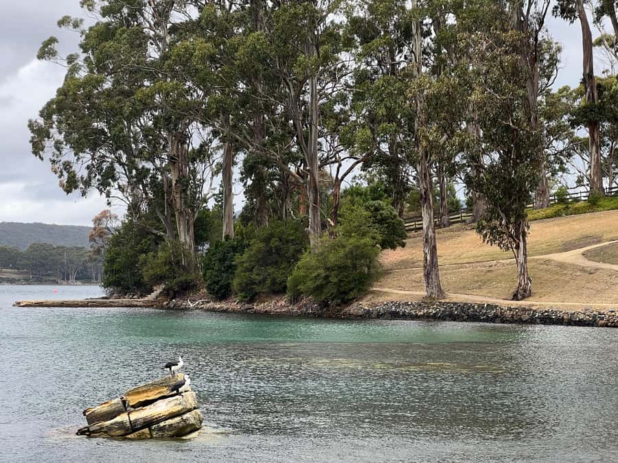 Hobart: Port Arthur & Tasman Park Full-Day Trip with Cruise - The Carnarvon Bay cruise and Isle of the Dead