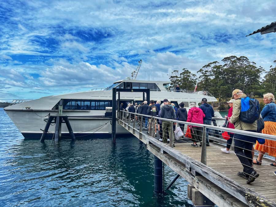 Hobart: Port Arthur & Tasman Park Full-Day Trip with Cruise - Is $120 good value?