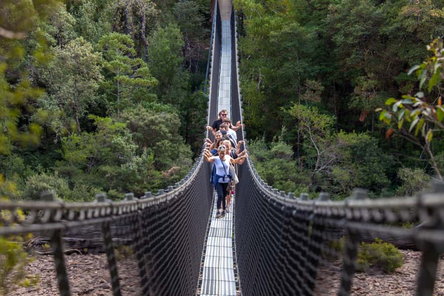 Hobart: Tahune Airwalk & Hastings Caves - Active Day Tour - Why this southbound day trip works so well