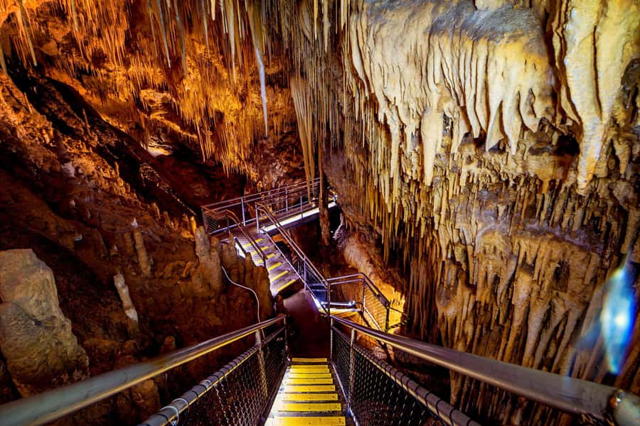 Hobart: Tahune Airwalk & Hastings Caves - Active Day Tour - The swinging bridges: the liveliest part of the walk