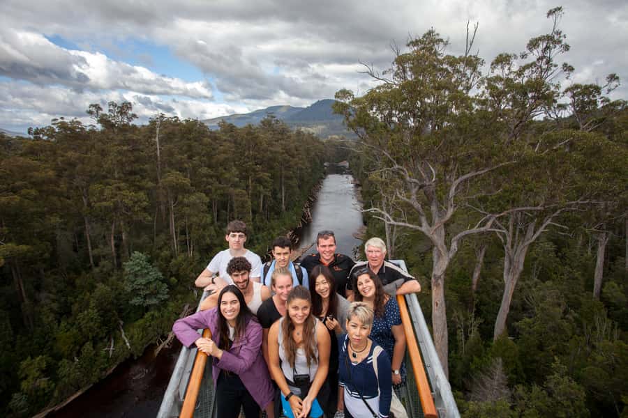 Hobart: Tahune Airwalk & Hastings Caves - Active Day Tour - The Huon Pine Walk and Tasmania’s ancient trees