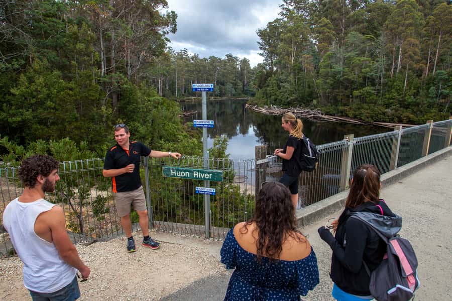 Hobart: Tahune Airwalk & Hastings Caves - Active Day Tour - A bakery stop before Hastings Caves